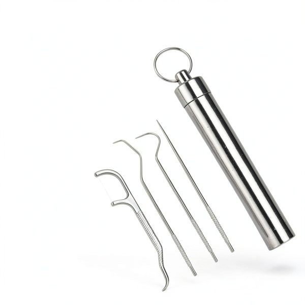 7Set Portable Storage Toothpick Holder with Stainless Steel Toothpicks Dispenser for Teeth Cleaning Unique Home Design Decoration Sliver-1